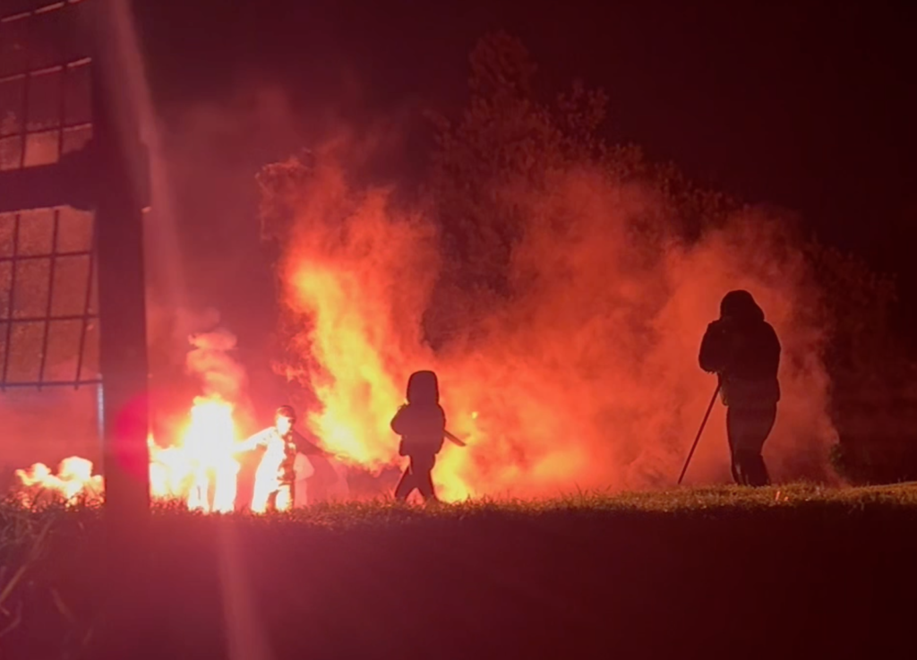 Screenshot 2025-11-07 at 13.39.21